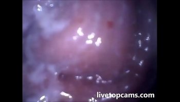 porn stars penis size