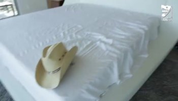 Squirrel foretells hot anal sex