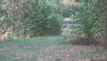 Sex and relaxing massage receive united together